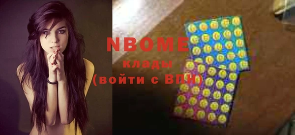 сатива Инта