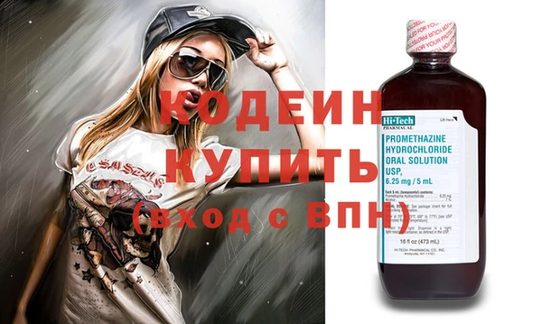 сатива Инта