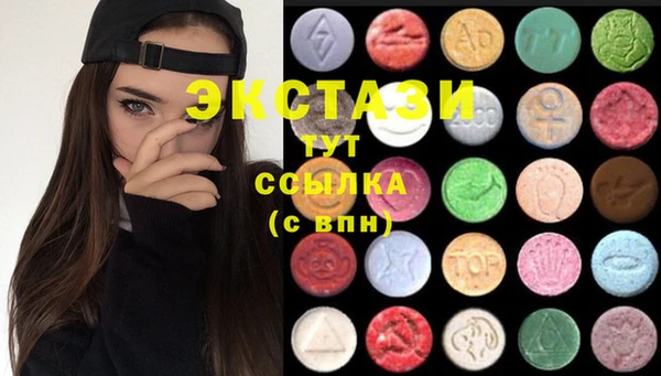 сатива Инта