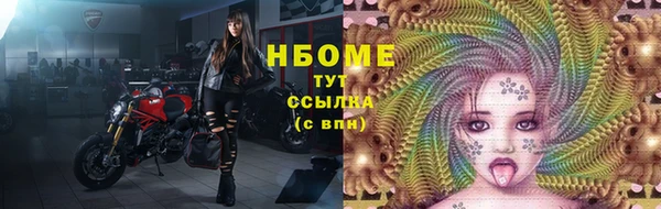 сатива Инта