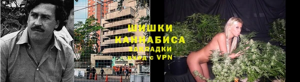 сатива Инта